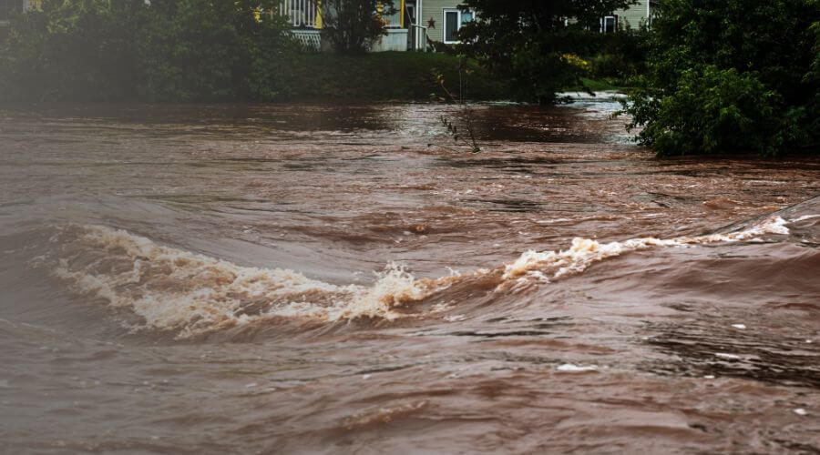 Why choose CleanNest Crew for water damage restoration in Fontana